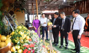 Xúc tiến tiêu thụ trên 65 nghìn tấn trái cây Lục Ngạn 