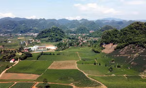 Những nông dân vùng cao giỏi làm giàu