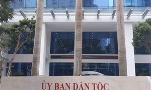 Năm đơn vị sự nghiệp công lập trực thuộc Ủy ban Dân tộc