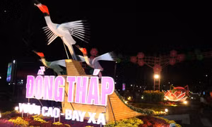 Đường hoa Xuân - Bức họa tinh hoa làng nghề truyền thống vùng Đất Sen hồng