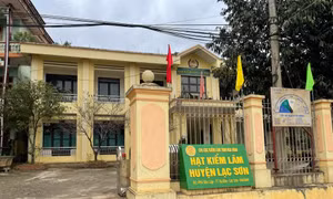 Hòa Bình: Khởi tố, bắt tạm giam nguyên Hạt phó Hạt Kiểm lâm huyện Lạc Sơn về tội “ Nhận hối lộ”