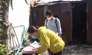 Số mắc sốt xuất huyết tăng, Bộ Y tế yêu cầu các địa phương tích cực phòng dịch