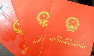 Tuyên Quang: Tạm đình chỉ công tác đối với cán bộ xã và công chức địa chính xã Tam Đa