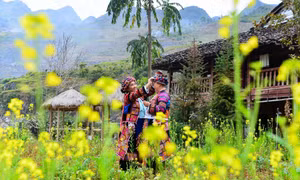 Gìn giữ nghề thêu truyền thống dân tộc Lô Lô ở Hà Giang 