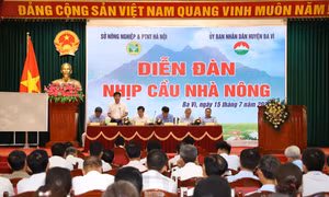 Diễn đàn khuyến nông@Nhịp cầu nhà nông về với bà con nông dân huyện Ba Vì