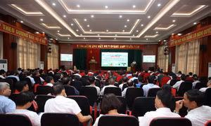 Hà Nội bàn giải pháp phát triển sản xuất mạ khay, cấy máy trên địa bàn thành phố