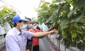 Nét đẹp nông thôn mới nâng cao Hà Nội