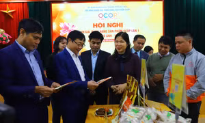 Hà Nội tổ chức Hội nghị đánh giá, phân hạng sản phẩm OCOP của huyện Đông Anh lần 1 năm 2022.