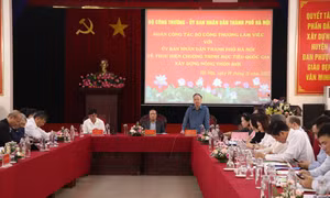 Hà Nội có 7 huyện, thị xã được công nhận đạt chuẩn nông thôn mới