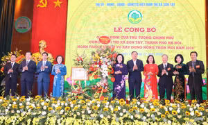 Thị xã Sơn Tây đón nhận danh hiệu đạt chuẩn nông thôn mới