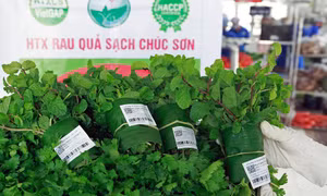 Rau quả sạch Chúc Sơn - sản phẩm OCOP của huyện Chương Mỹ