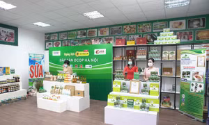 Hà Nội kết nối giao thương sản phẩm OCOP và đặc sản vùng miền bằng hình thức trực tuyến