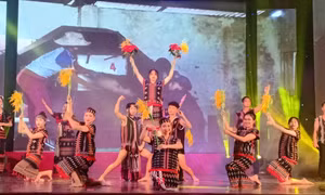 Một tiết mục trình diễn tại Liên hoan. Nguồn: ttvhqnam.vn