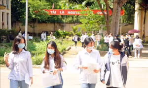 Bộ Giáo dục và Đào tạo đề nghị các cơ sở giáo dục đại học sẵn sàng điều chỉnh công tác tuyển sinh phù hợp tình hình dịch COVID-19
