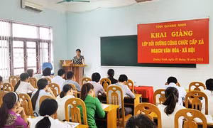 Ý kiến của Thủ tướng Chính phủ về các chứng chỉ bồi dưỡng tiêu chuẩn chức danh nghề nghiệp