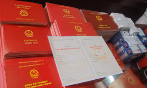 Tăng cường công tác quản lý văn bằng, chứng chỉ