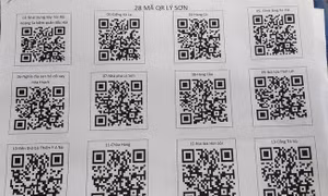 Gắn mã QR cho các điểm du lịch tại huyện đảo Lý Sơn