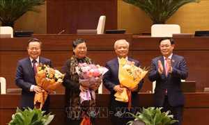 Kỳ họp thứ 11, Quốc hội khóa XIV: Quốc hội miễn nhiệm một số Phó Chủ tịch Quốc hội