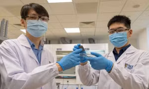 Người dẫn đầu nhóm nghiên cứu - PGS Benjamin Tee (trái) cùng cộng sự giới thiệu mẫu vật liệu AiFoam. Ảnh: vjst.vn