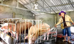 Quảng Bình hỗ trợ sinh kế cho người trở về từ các tỉnh phía Nam
