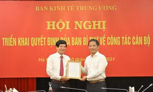 Ông Đỗ Ngọc An giữ chức Phó Trưởng ban Kinh tế Trung ương