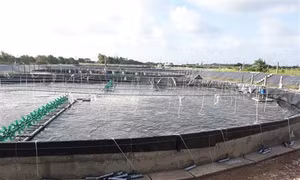 Trà VInh hỗ trợ thành lập mới, phát triển kinh tế hợp tác xã
