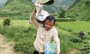 Sau gần 2 năm học nghề, hơn 500 người dân Lai Châu vẫn chưa được cấp chứng chỉ (Bài 1)