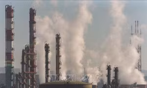 Nồng độ CO2 trong khí quyển ảnh hưởng đến sự phát triển của phổi 