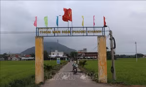 Phú Yên ngăn chặn tình trạng chuyển nhượng đất lúa trái pháp luật