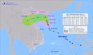 Đảm bảo an toàn tàu, thuyền và phòng dịch COVID-19 trước bão số 7