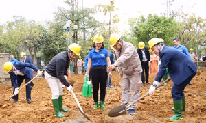 Công ty Điện lực Lai Châu phát động Tết trồng cây