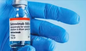 Hãng dược GSK khẳng định liệu pháp kháng thể sotrovimab chống được tất cả các đột biến của biến thể Omicron