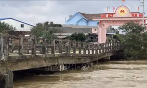Lũ lụt gây sụt cầu, cô lập nhiều khu dân cư tại Bình Định