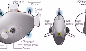 Cá robot - Phương tiện mới cho hoạt động cứu hộ trên biển