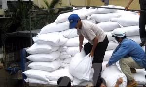 Khẩn trương xuất cấp gạo hỗ trợ người dân dịp Tết Nguyên đán Tân Sửu