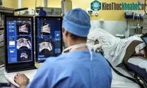 Các nhà nghiên cứu Israel phát triển thuật toán chẩn đoán ung thư