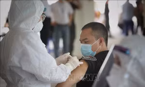 Dịch COVID-19: Công bố danh sách 36 đơn vị đủ điều kiện nhập khẩu, kinh doanh vaccine