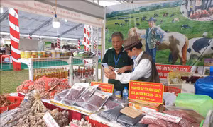 Hà Nội kết nối tiêu thụ sản phẩm làng nghề, thủ công và sản phẩm OCOP