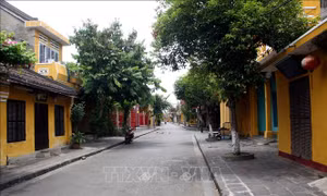 Hai Di sản Văn hóa thế giới tại Quảng Nam mở cửa đón khách
