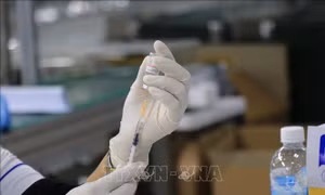 Phản ánh về tiêm vaccine phòng COVID-19 được xử lý trong vòng 48 giờ