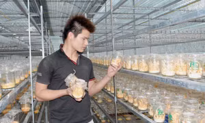 Lâm Đồng công nhận thêm 8 sản phẩm OCOP đợt 1 năm 2021