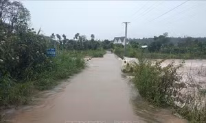 Mưa lớn gây sạt lở, ngập úng nhiều nơi tại Đắk Nông