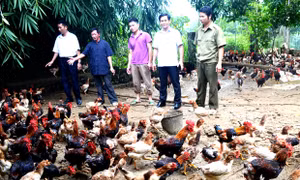 Hà Giang chú trọng đào tạo nghề, giải quyết việc làm để giảm nghèo bền vững