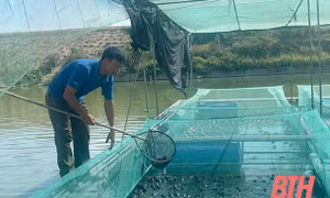 Mô hình nuôi ếch bằng lồng lưới tại xã Quảng Phú, TP Thanh Hóa. Nguồn: baothanhhoa.vn