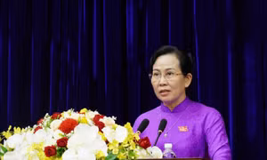 Bà Lê Thị Thủy, Bí thư Tỉnh ủy, Chủ tịch HĐND tỉnh Hà Nam phát biểu tại kỳ họp. Ảnh: Thanh Tuấn-TTXVN