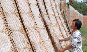 Các làng nghề làm bánh, mứt ở Bến Tre nhộn nhịp dịp Tết