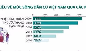 Thu nhập bình quân đầu người ở thành thị cao gấp gần 1,6 lần nông thôn
