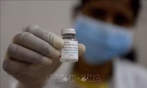 Bộ Y tế phê duyệt có điều kiện vaccine phòng COVID-19 Covaxin