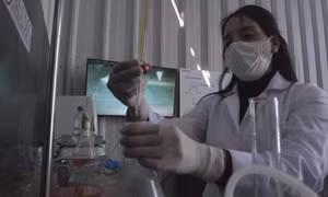 Vi khuẩn "ăn kim loại" - Phát hiện mới giúp "xanh hóa" ngành khai khoáng 