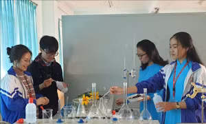 Học sinh tận dụng phế thải tạo chế phẩm hữu cơ thân thiện với môi trường